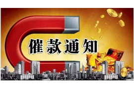 邵武遇到恶意拖欠？专业追讨公司帮您解决烦恼