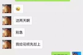 邵武专业催债公司的市场需求和前景分析